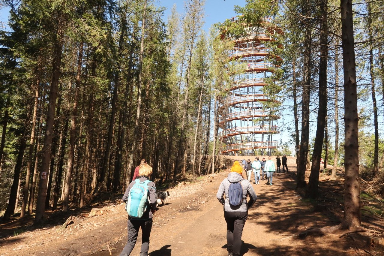 Aussichtsturm auf Großem Wildberg im Waldenburger Bergland  ausgezeichnet