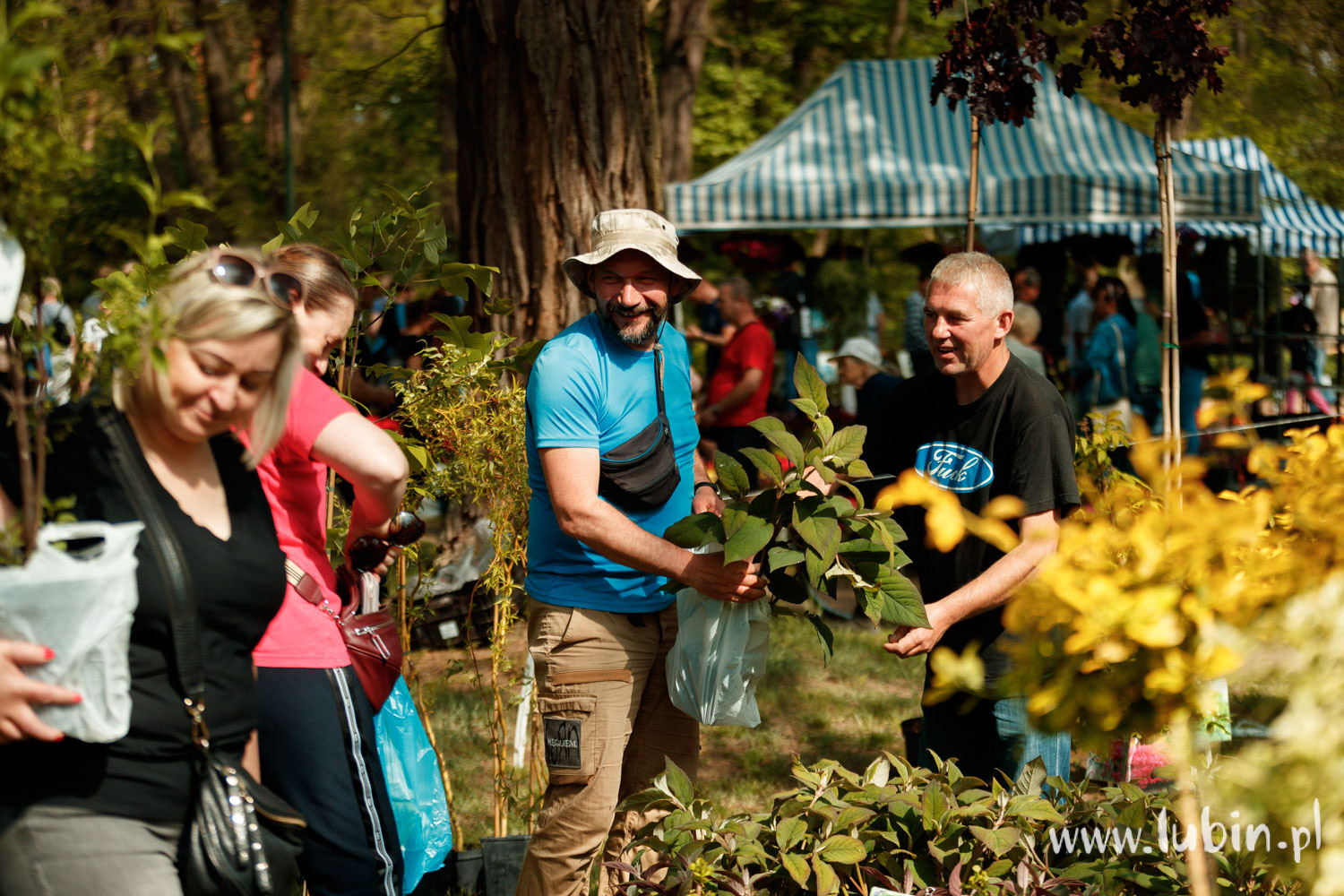 Lübener Blumen- und Pflanzenfest