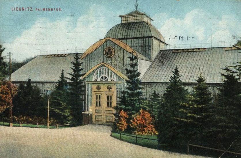 Liegnitz: Historisches Palmenhaus öffnet 2026 wieder