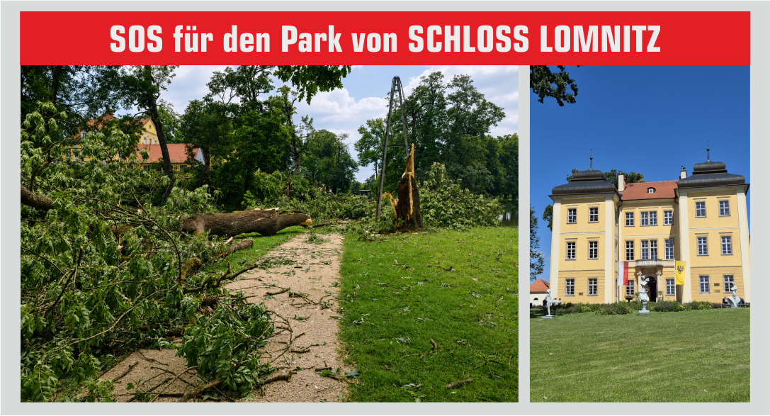 SOS für den Park von Schloss Lomnitz